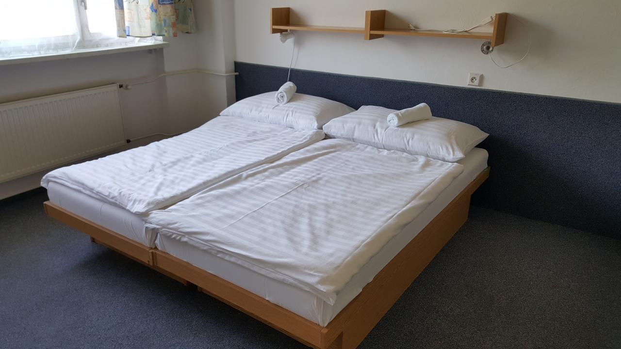Hotel Banik Nitrianske Rudno ห้อง รูปภาพ
